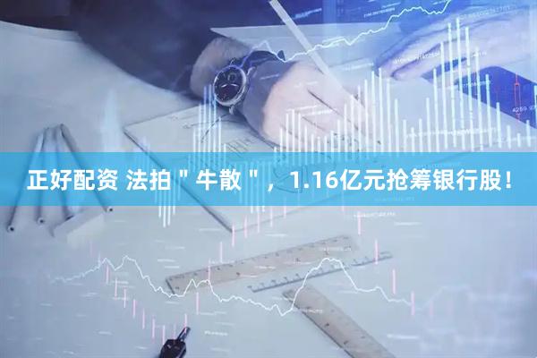 正好配资 法拍＂牛散＂，1.16亿元抢筹银行股！