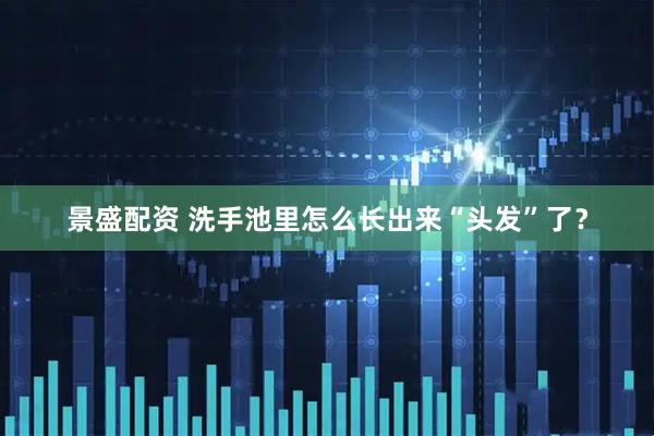 景盛配资 洗手池里怎么长出来“头发”了？