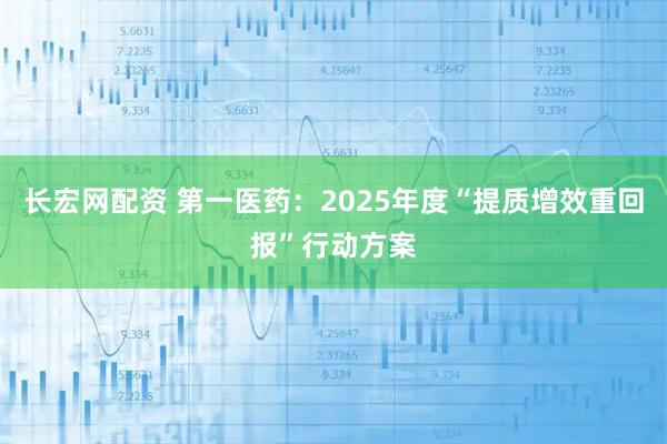 长宏网配资 第一医药：2025年度“提质增效重回报”行动方案