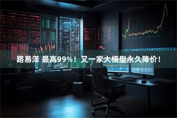 路易泽 最高99%!又一家大模型永久降价!