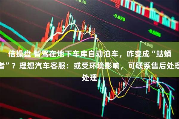 倍操盘 智驾在地下车库自动泊车，咋变成“蛄蛹者”？理想汽车客服：或受环境影响，可联系售后处理