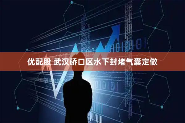 优配股 武汉硚口区水下封堵气囊定做